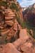 Zion Trail