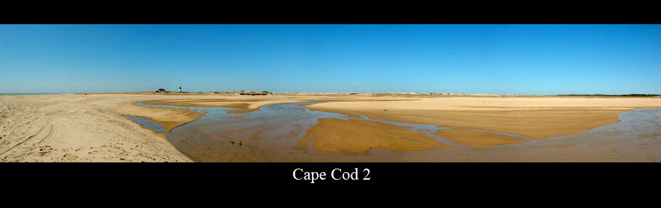 Cape Cod